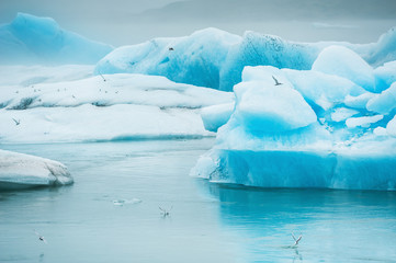 Blue icebergs in Jokulsarlon glacial lagoon.