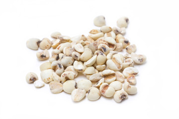 Job's tears isolated on white.