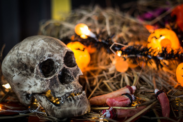 Selected focus Halloween pumpkin with candlelight and skull with