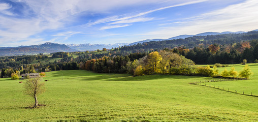 Fototapeta na wymiar herrliche Natur im herbstlichen Oberallgäu
