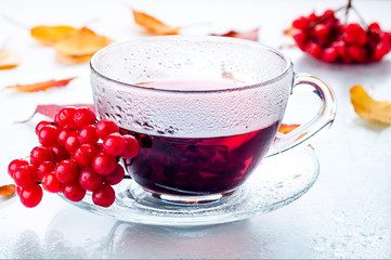 Red berries  viburnum and cup of tea