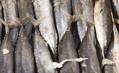 Dried fish background. Dried small fish used in Asian cuisine.