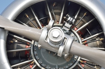 Fototapeta na wymiar Detail of aircraft propellor Engine