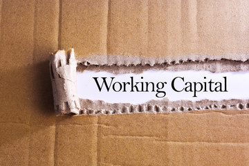 Torn paper box with word Working capital