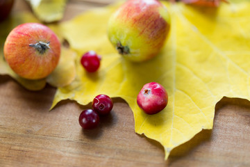 Naklejka na ściany i meble close up of autumn leaves, fruits and berries