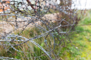 barb wire fence over gray sky