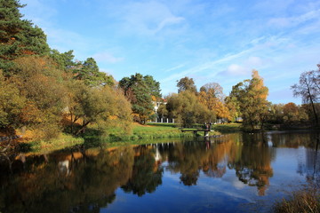 Fototapeta premium Autumn at the pond