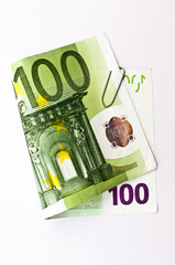100 Eurogeldschein freigestellt 