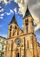 Fototapeta na wymiar The Sacred Heart Cathedral in Sarajevo - Bosnia and Herzegovina