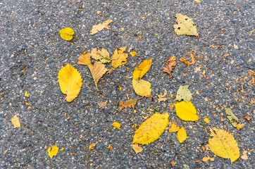 top view of a background of golden autumn leaves on a stone pavement