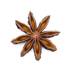Sternanis