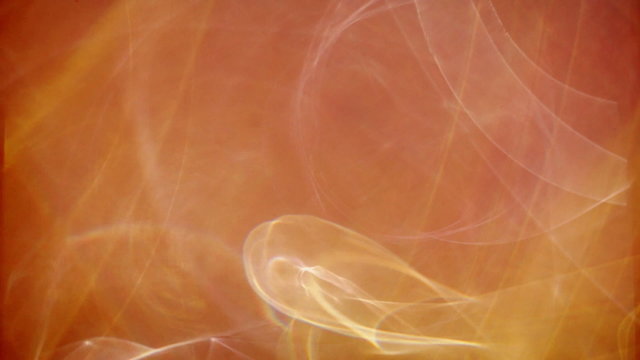 Tripping curving light leak transition / wipe. Has a look of sub-atomic particle trails. As used on Discovery Channel productions