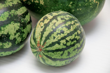 watermelon on a white background