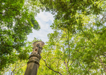 Fototapeta premium the dharmachakra in forest of Wat Umong temple in Chiang Mai, Th