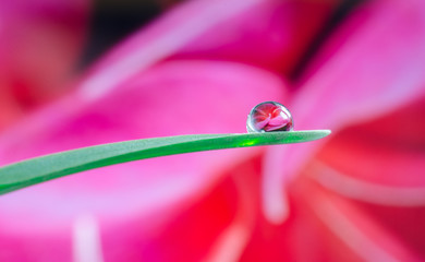 Wassertropfen