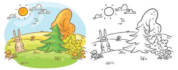 Hare in the wild on a sunny day, both colored and black and white