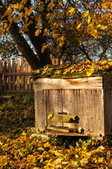 Hive in autumn