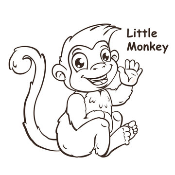 Cute cartoon sitting little monkey