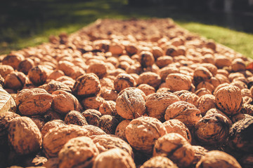Walnuts 