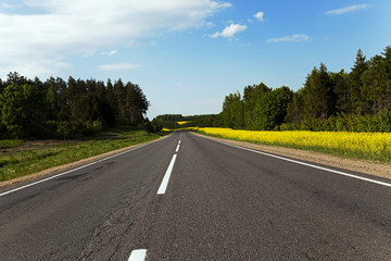 rural road .  canola