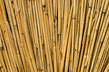 New cane wall closeup