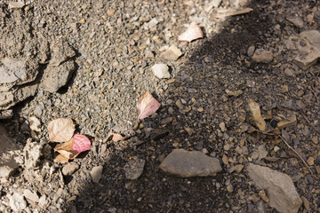 the play of light and shadow on the rocks