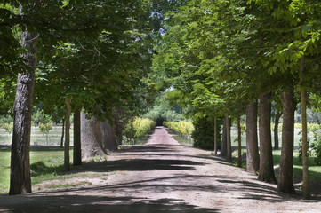 Jardines de Aranjuez