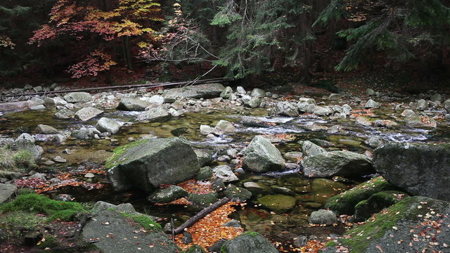 Autumn forest stream in Giant Mountains (Krkonose, Karkonosze), Czech Republic.