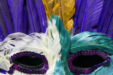 Feathered Mardi Gras Mask Costume