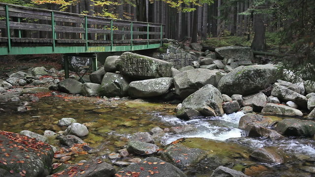 Bridge across stream in the mountain forest, Krkonose Mountains, Czech Republic.
