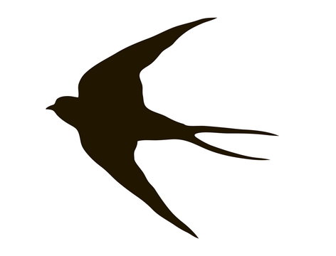 recommend clip art: drawing silhouette flying swallows