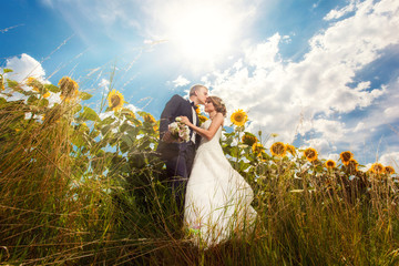 Kissing couple on the big field of sunflowers