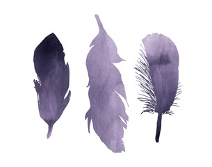 A set of purple lavender watercolor bird feathers