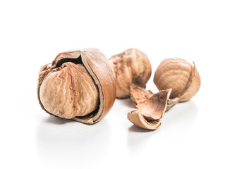 Hazelnuts isolated