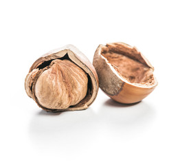 Hazelnuts isolated