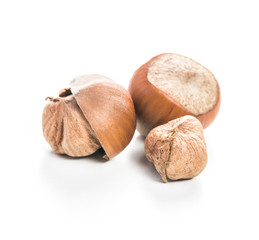 Hazelnuts isolated