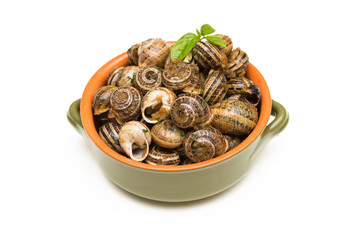 Lumache gratinate, cibo italiano