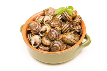 Lumache gratinate, cibo italiano