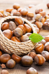 Hazelnuts