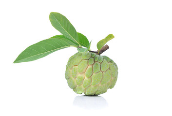 Fototapeta premium Annona sweetsop on white background.