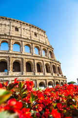 Fototapeta premium Colosseum in Rome