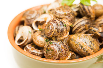 Lumache gratinate, cibo italiano