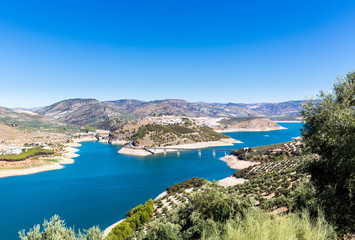 Fototapeta na wymiar Olive trees around Lake Iznajar in Andalucia
