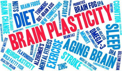 Brain Plasticity Word Cloud