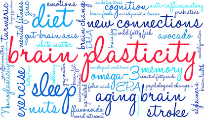 Brain Plasticity Word Cloud