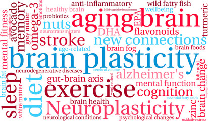 Brain Plasticity Word Cloud