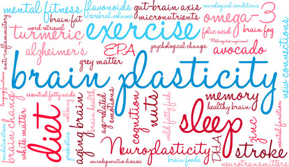 Brain Plasticity Word Cloud
