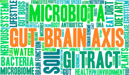 Fototapeta premium Gut-Brain Axis Word Cloud