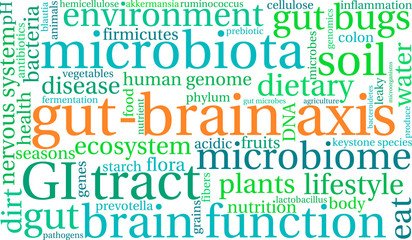Fototapeta premium Gut-Brain Axis Word Cloud