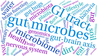 Fototapeta premium Gut Microbes Word Cloud